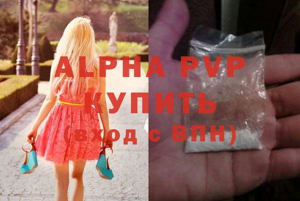 стаф Аркадак